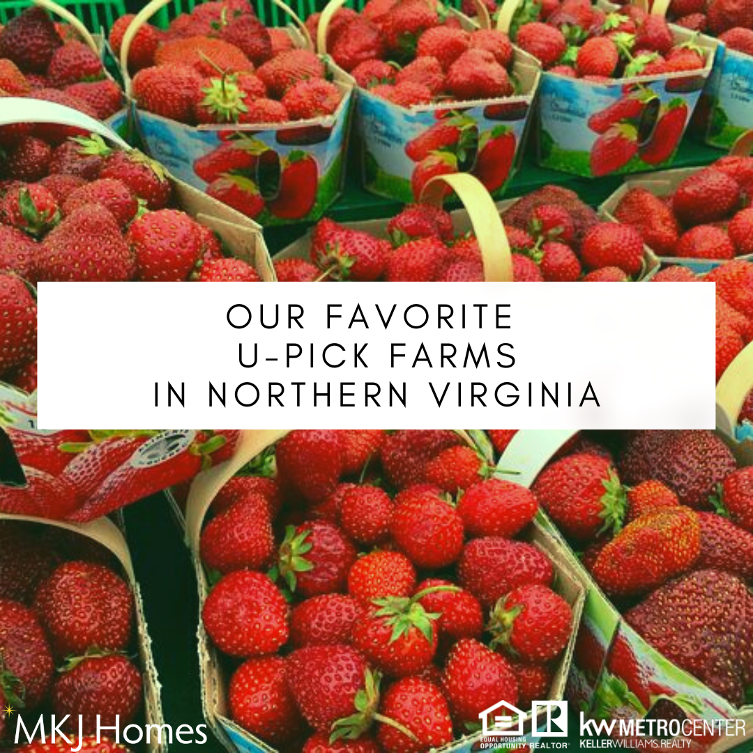 May is Strawberry Season in NoVa!