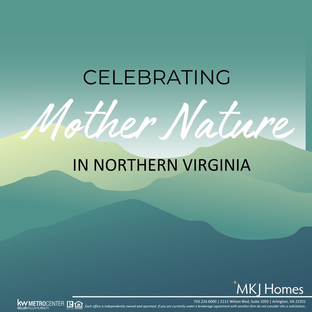 Explore Mother Nature in Northern Virginia