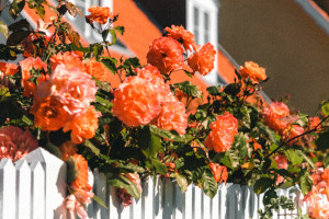 Spring is the Prime Time to Sell Your Home 