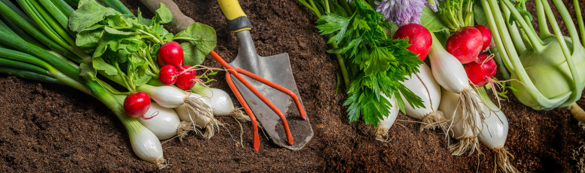  A pile of colorful vegetables with a shovel and a rake on top.
