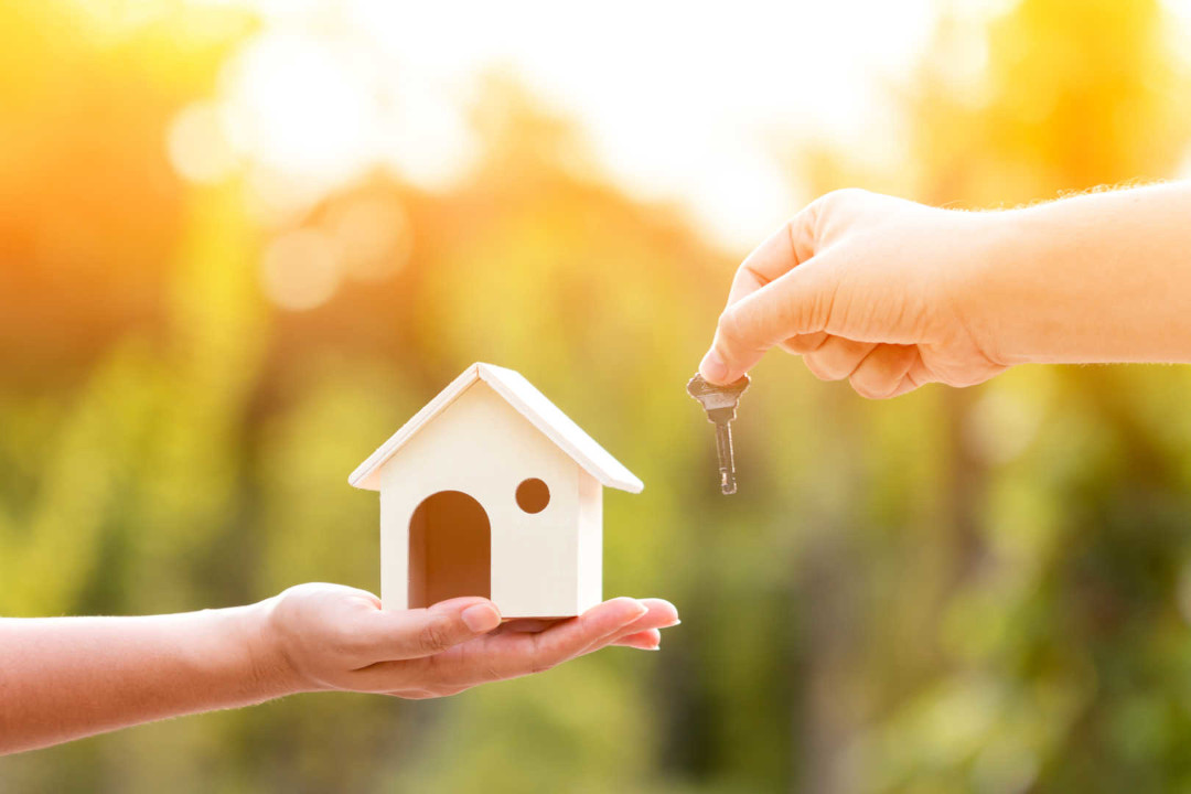 Dive into Your Dream Dallas Home this Summer!