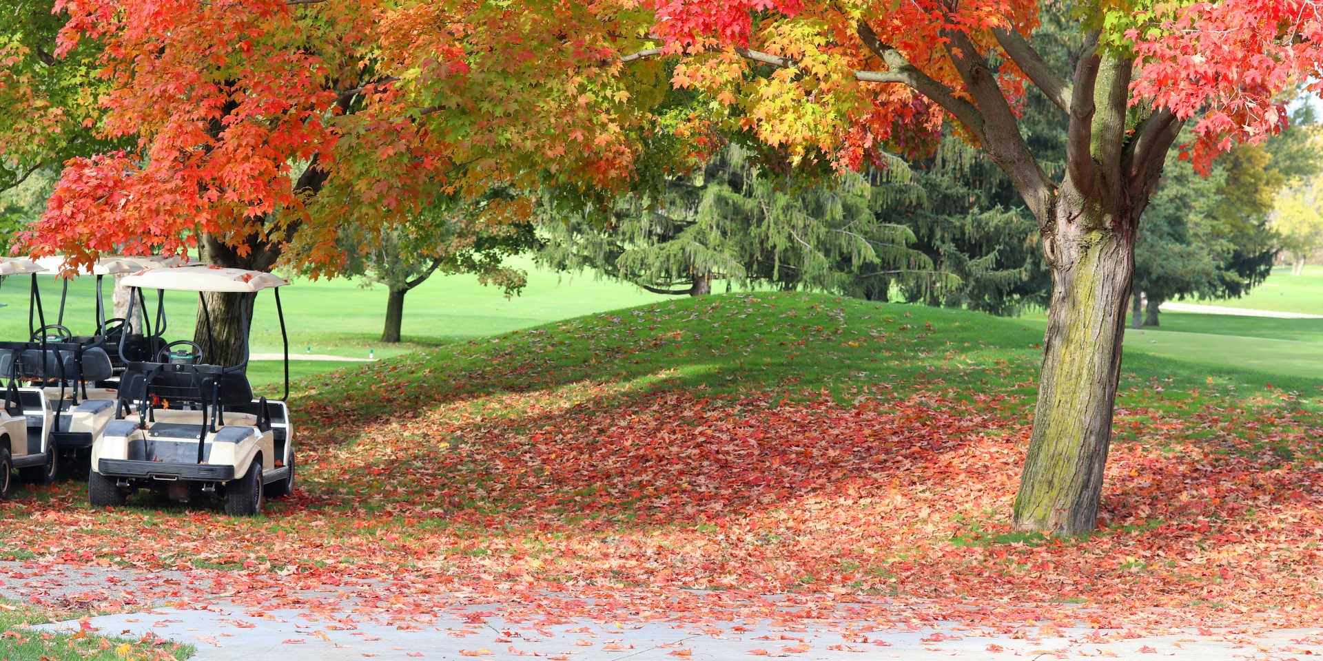 Fun Things to Do in Dallas, Texas During the Fall