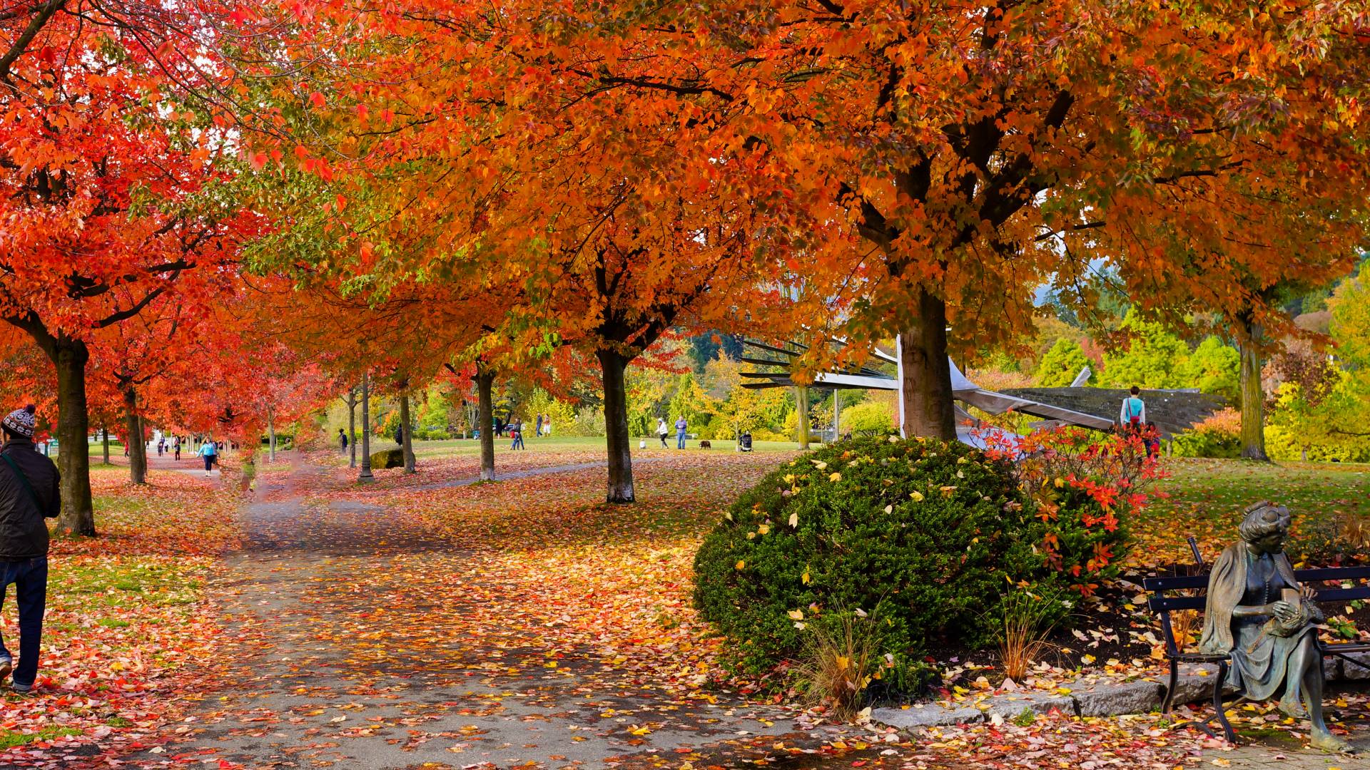 A serene landscape featuring rolling hills under a clear blue sky, with a tranquil river flowing through the lush greenery.