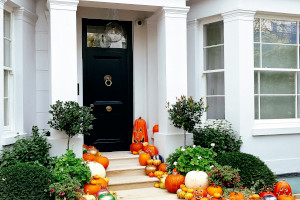 Boost Your Fall Curb Appeal
