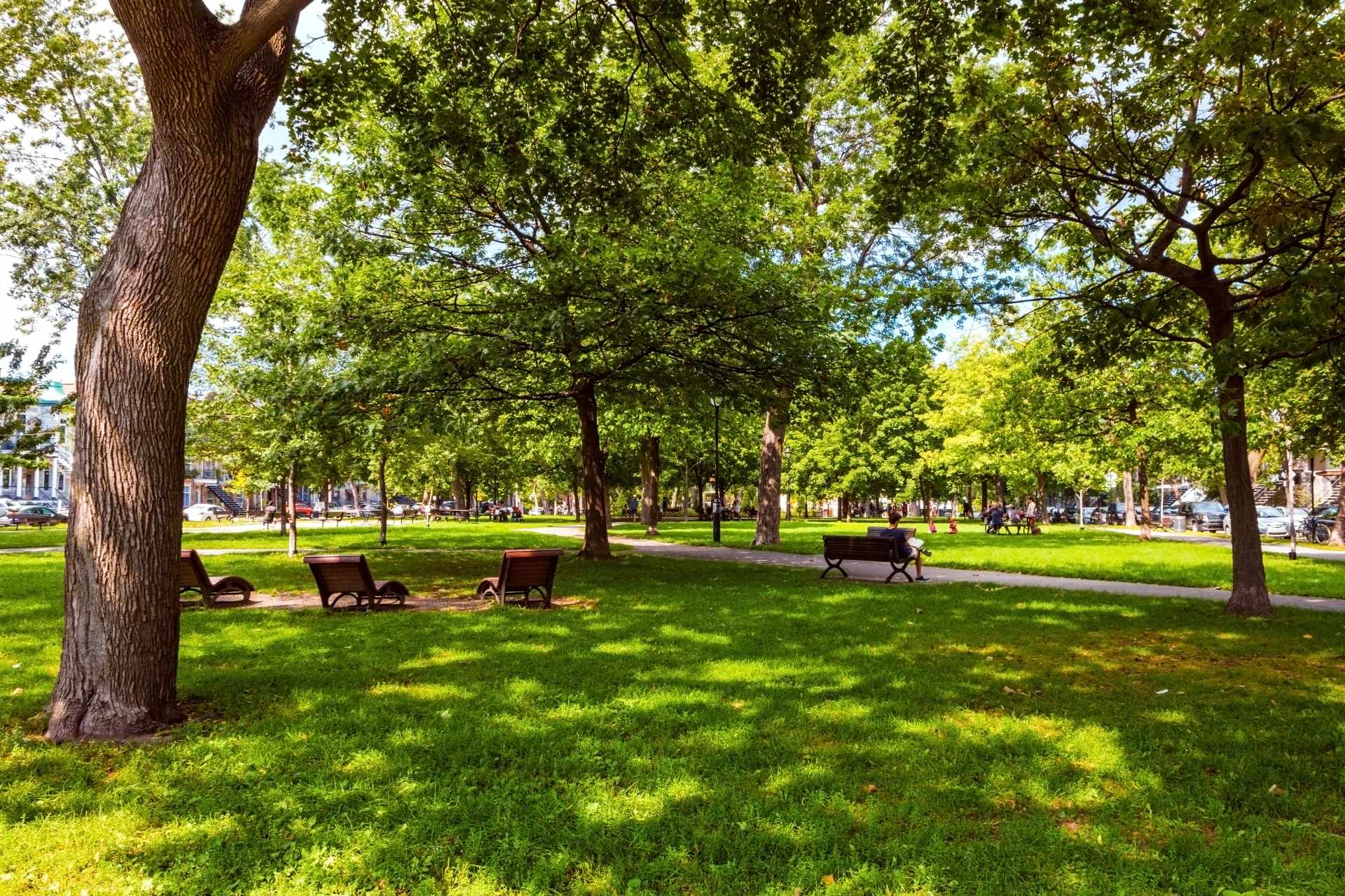 Why Live in Dallas, Texas in 2025: A Realtor's Guide