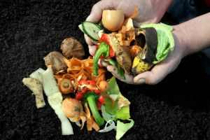 A Guide to Composting for Beginners 
