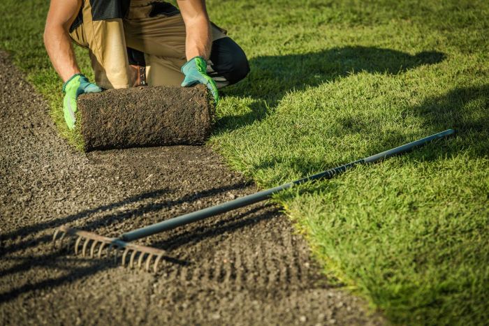 Sod Preparation Essential Lawn Tips