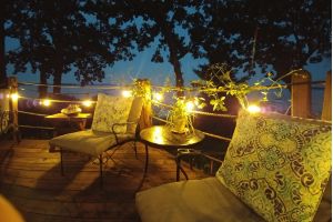 Backyard on a Budget 