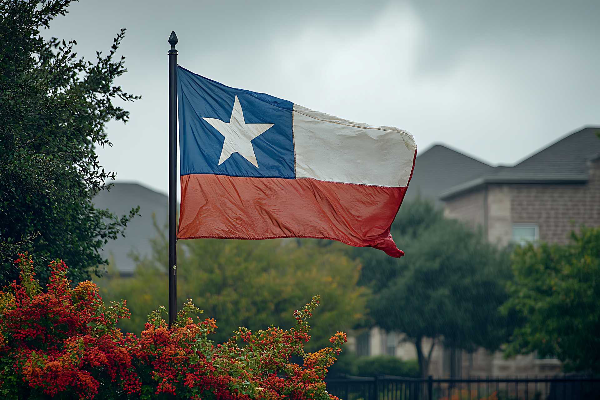 Texas Real Estate Guide showcasing the Texas state flag in a suburban neighborhood, symbolizing pride of place and community living in Texas real estate.