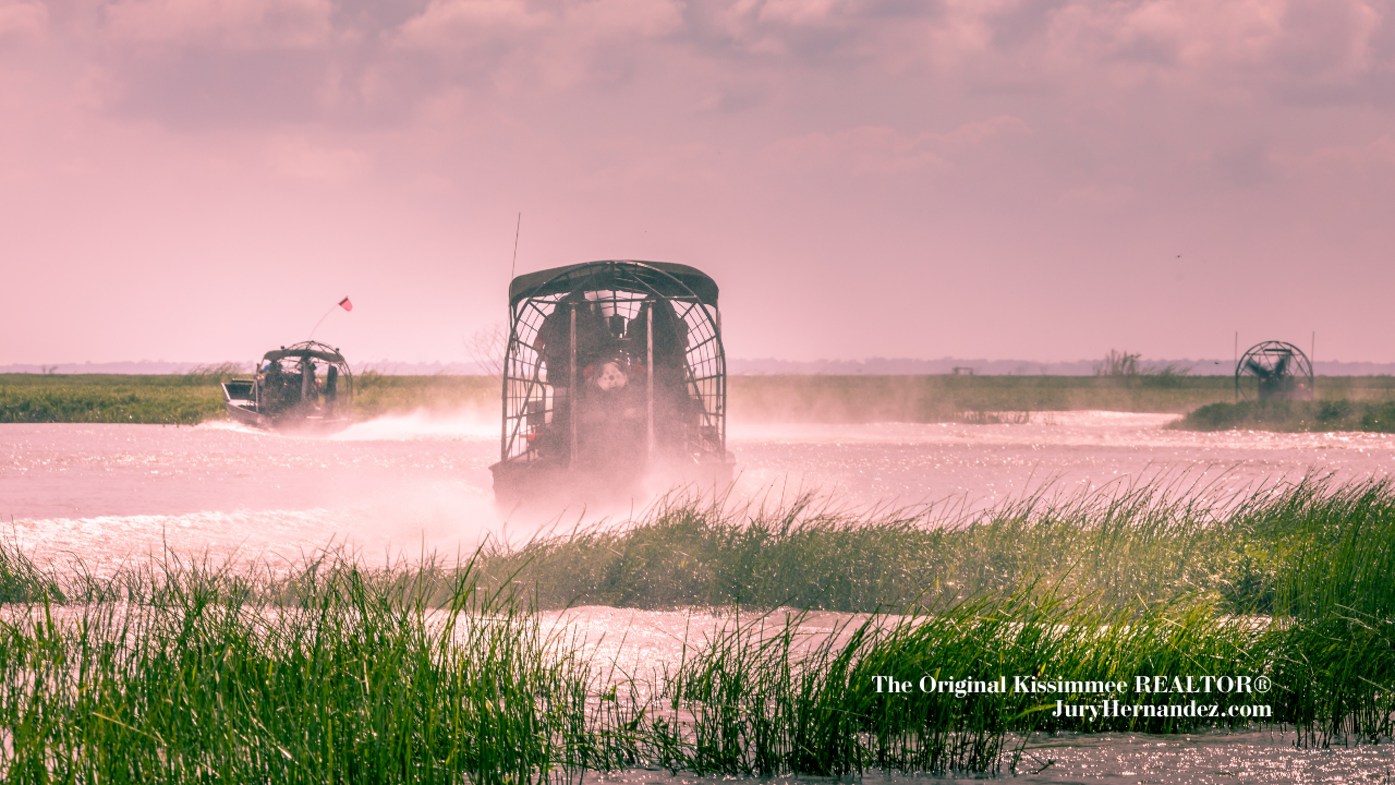 Boggy Creek Airboat Ride: Discover the Everglades