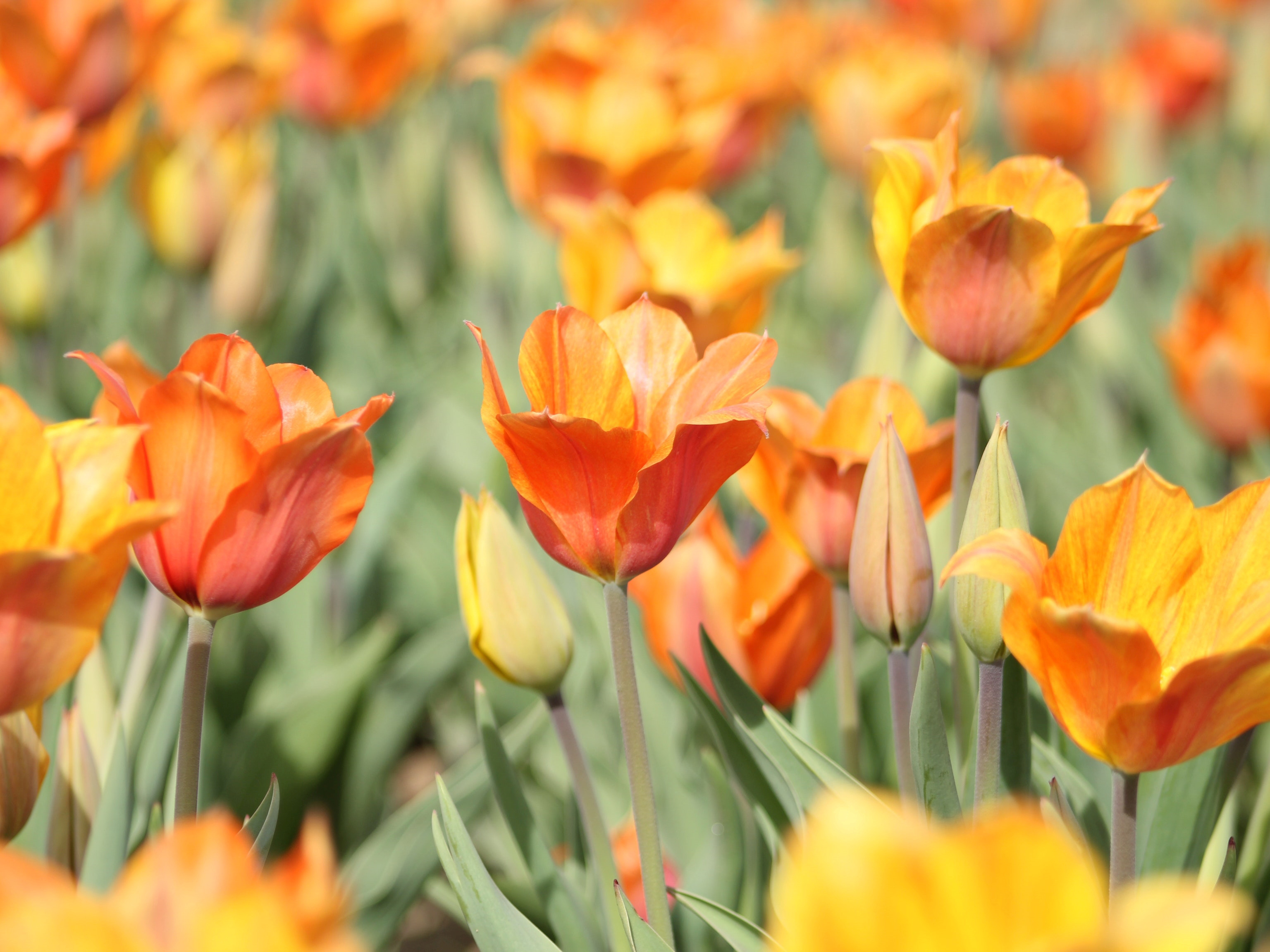 The R + F Team’s Favorite Spring Things and Places