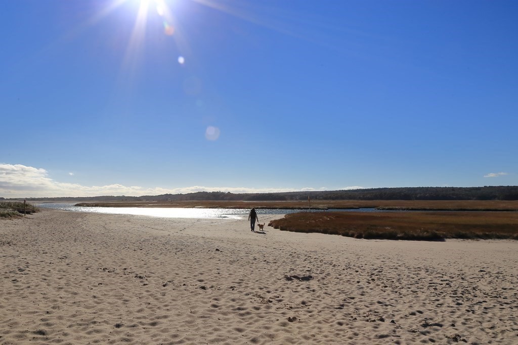 Beach in Sandwich, Massachusetts