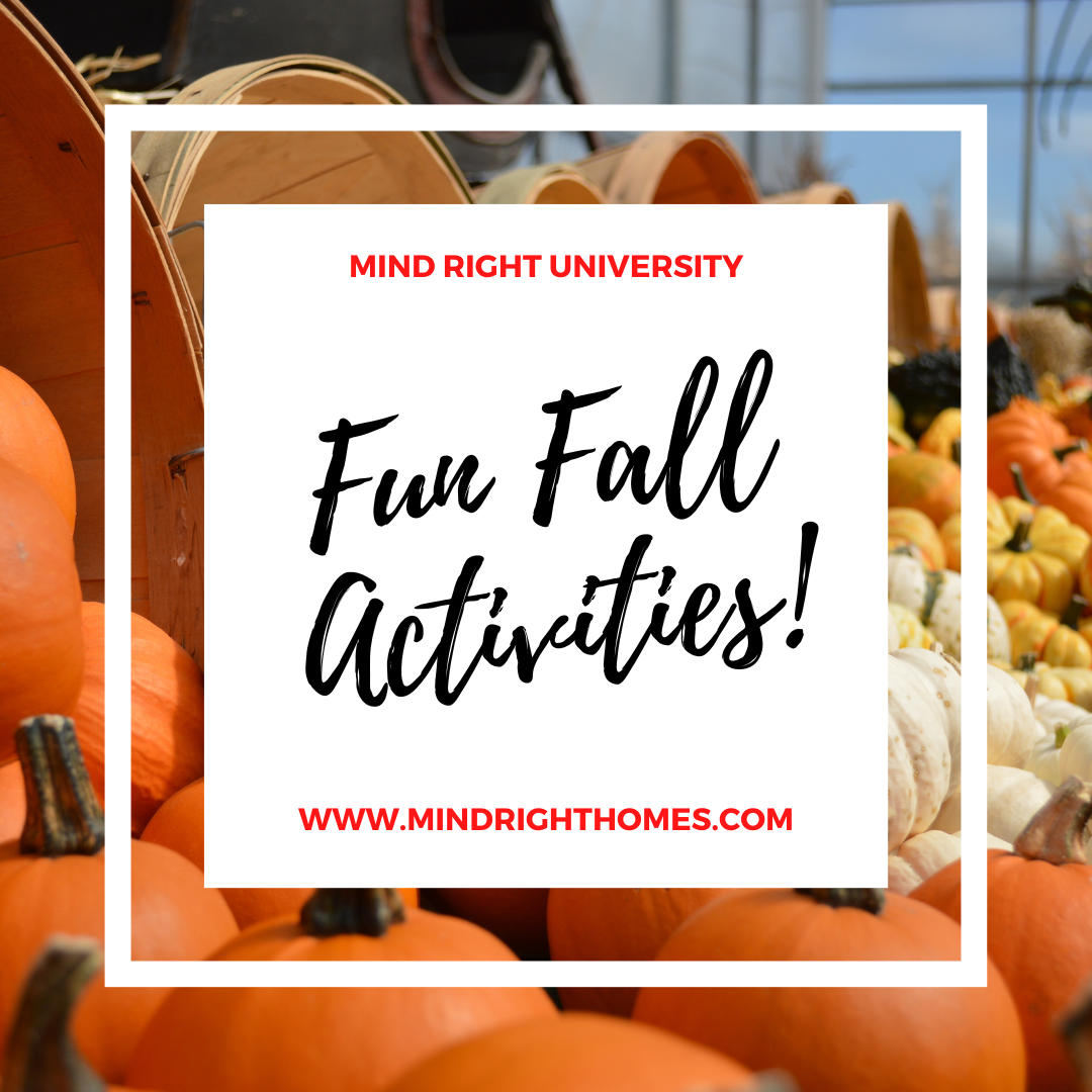 Try One Of These Fun Fall Activities This Week!
