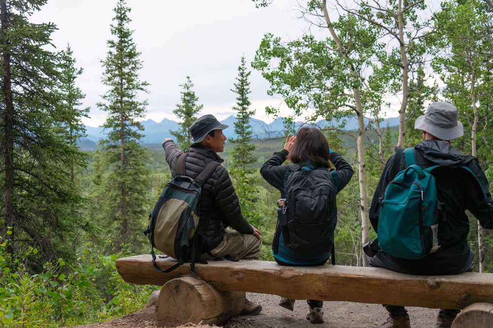 people in forest