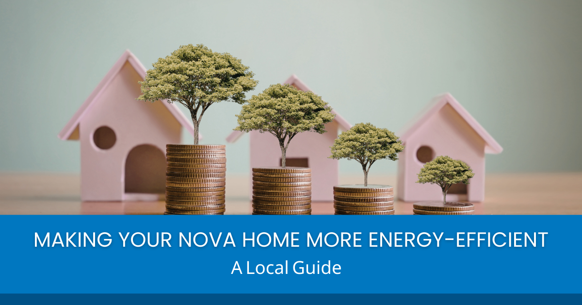 Sustainable landscaping for energy savings in Alexandria and McLean homes