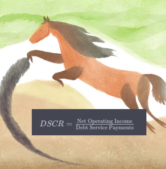 The Power of Debt Service Coverage Ratio for Non-Owner-Occupied Properties