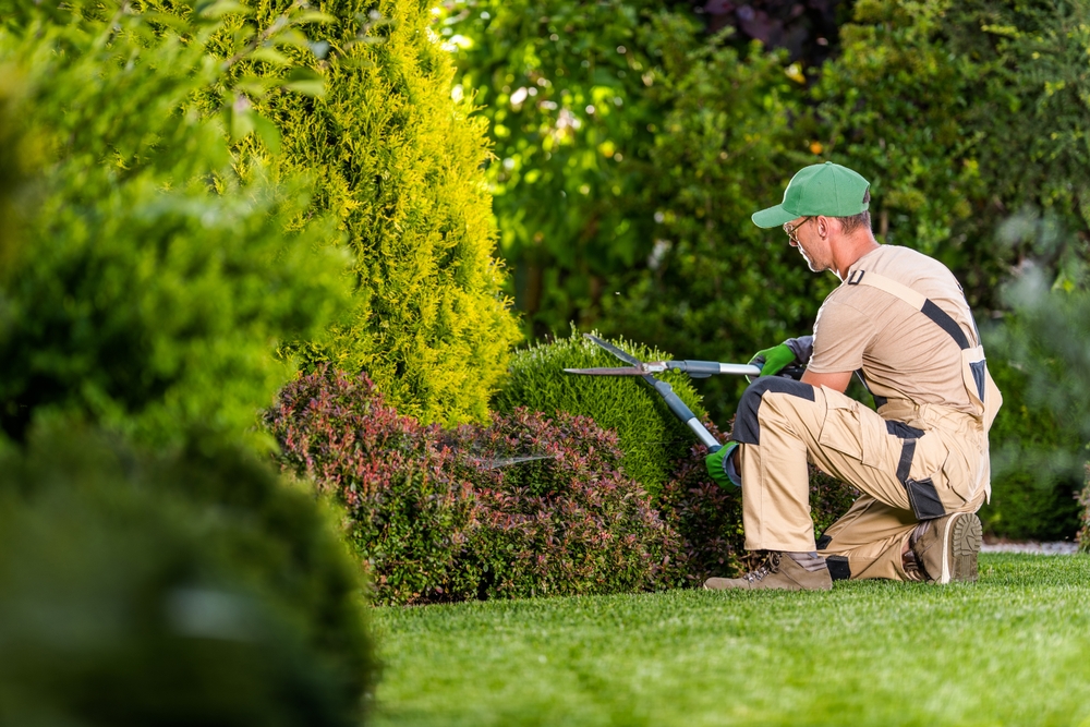 man doing gardening