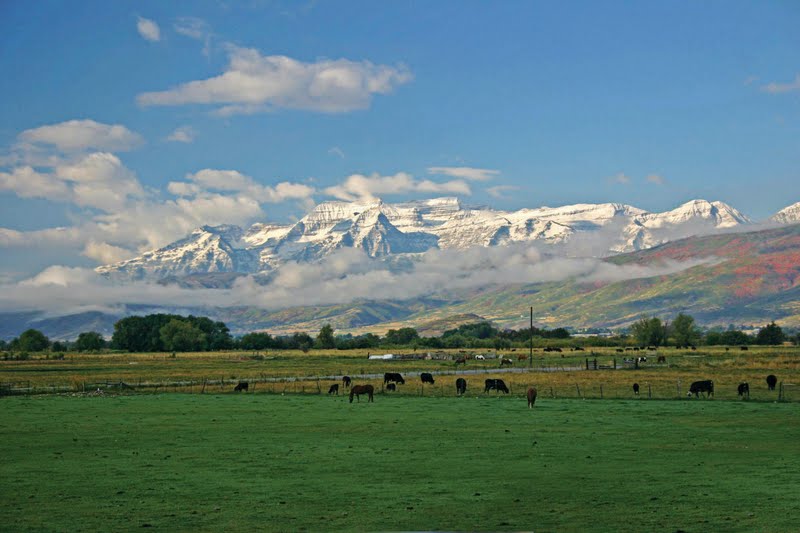 Utah River Property For Sale Utah River Property For Sale