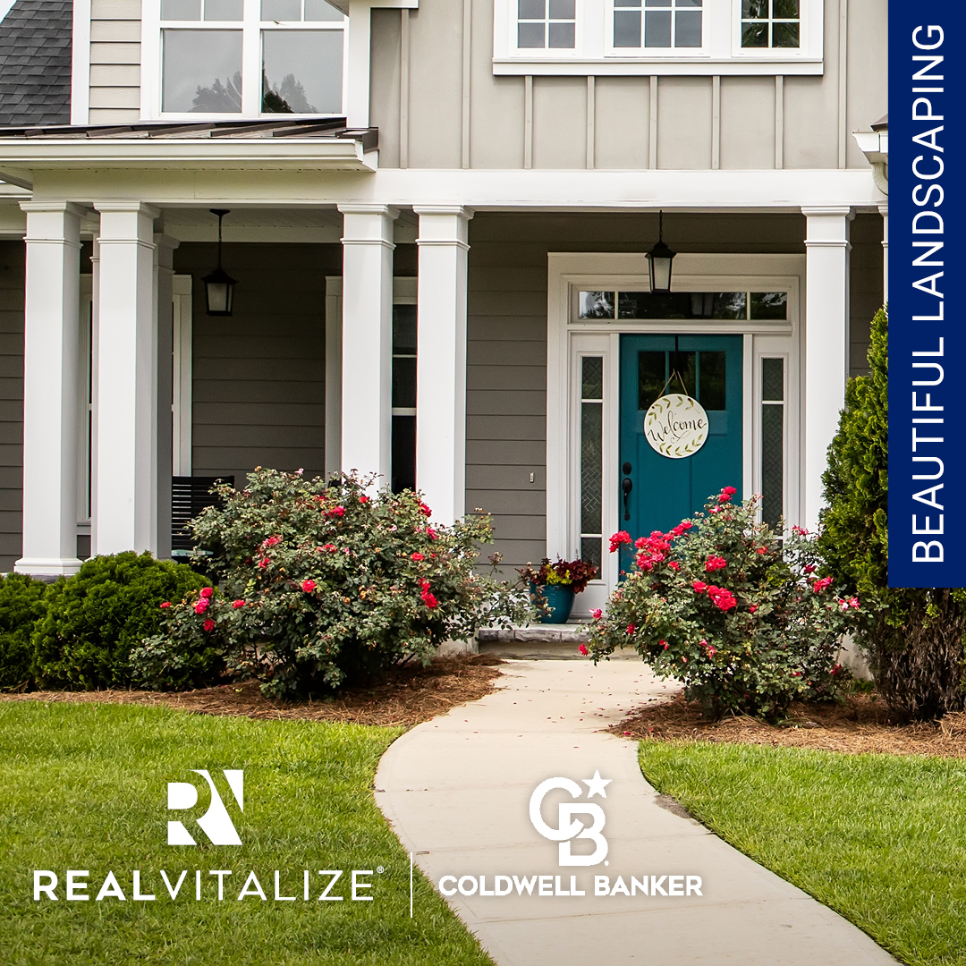 RealVitalize home landscaping