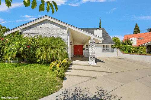 Shirley Luu Real Estate