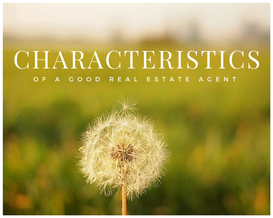 Characteristics of a Good Real Estate Agent