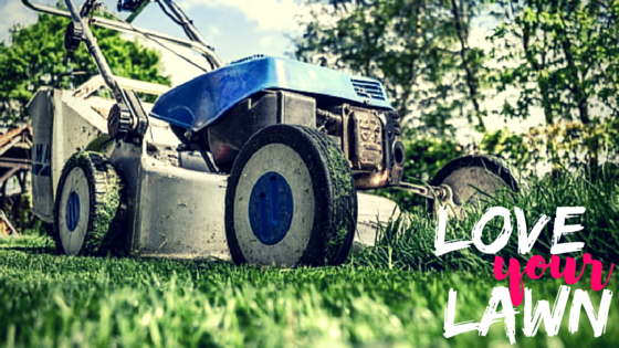 Love Your Lawn