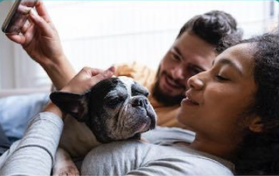 Top Reasons To Own a Home