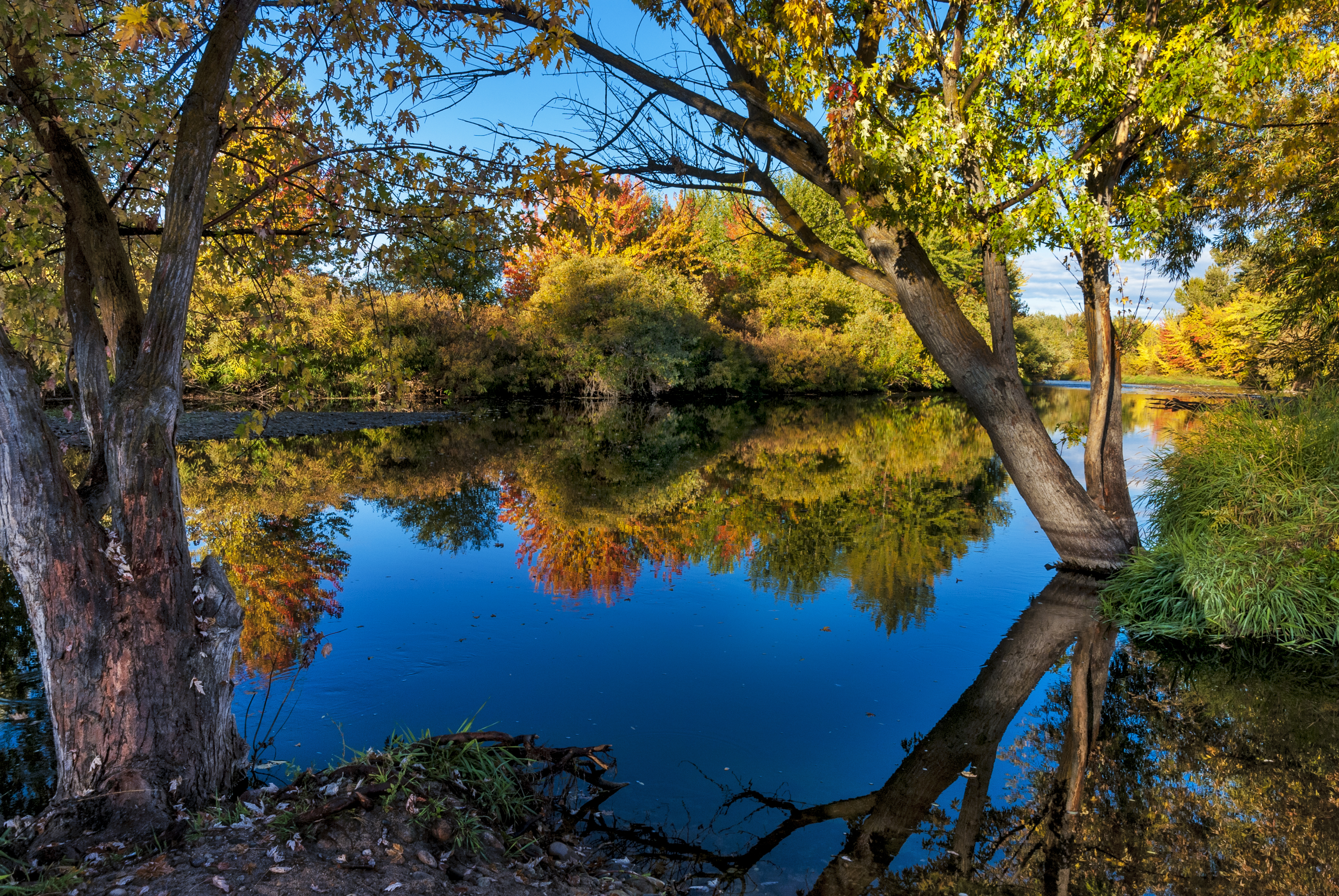 Boise River