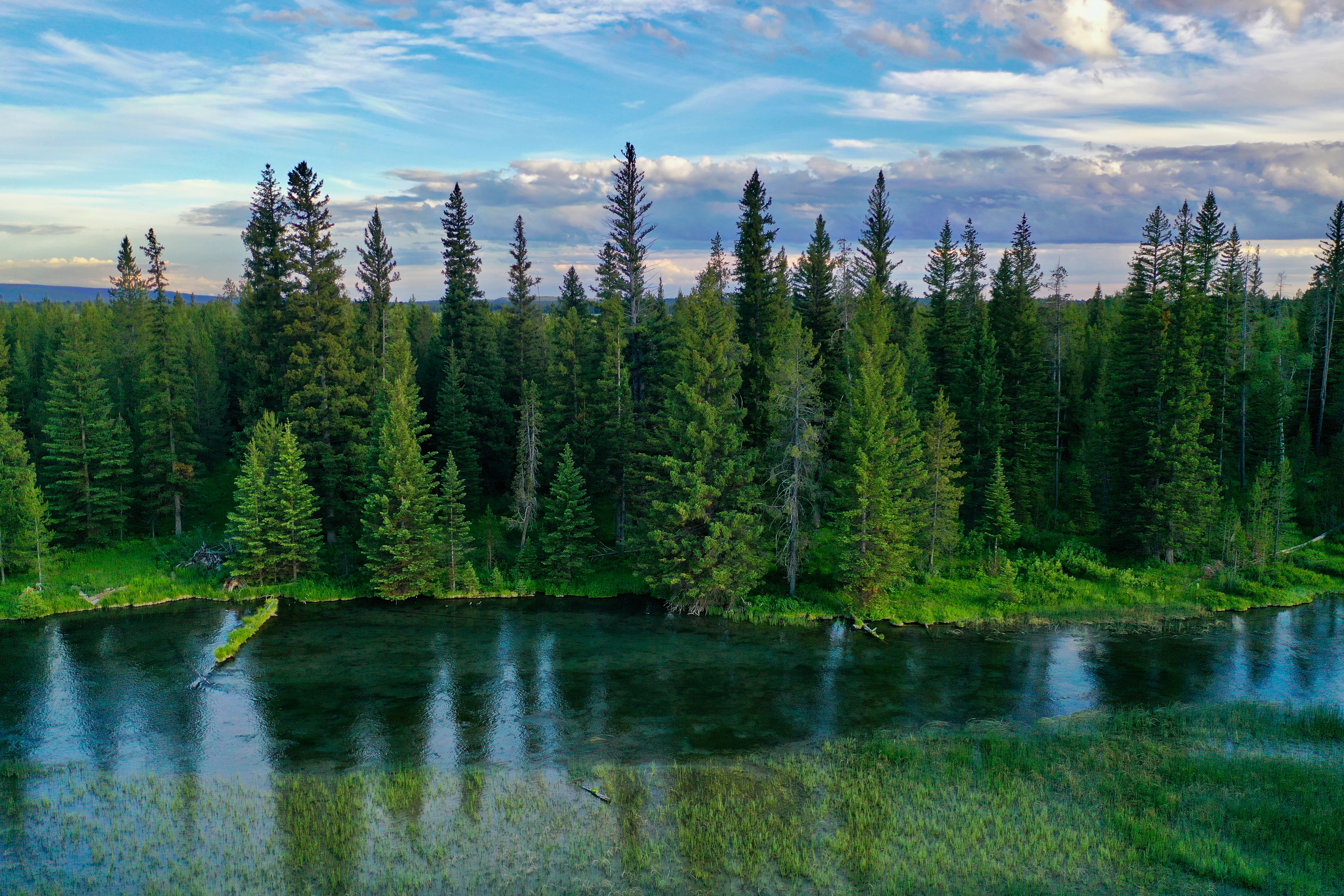 Beautiful Idaho Trees, Rivers and Mountains