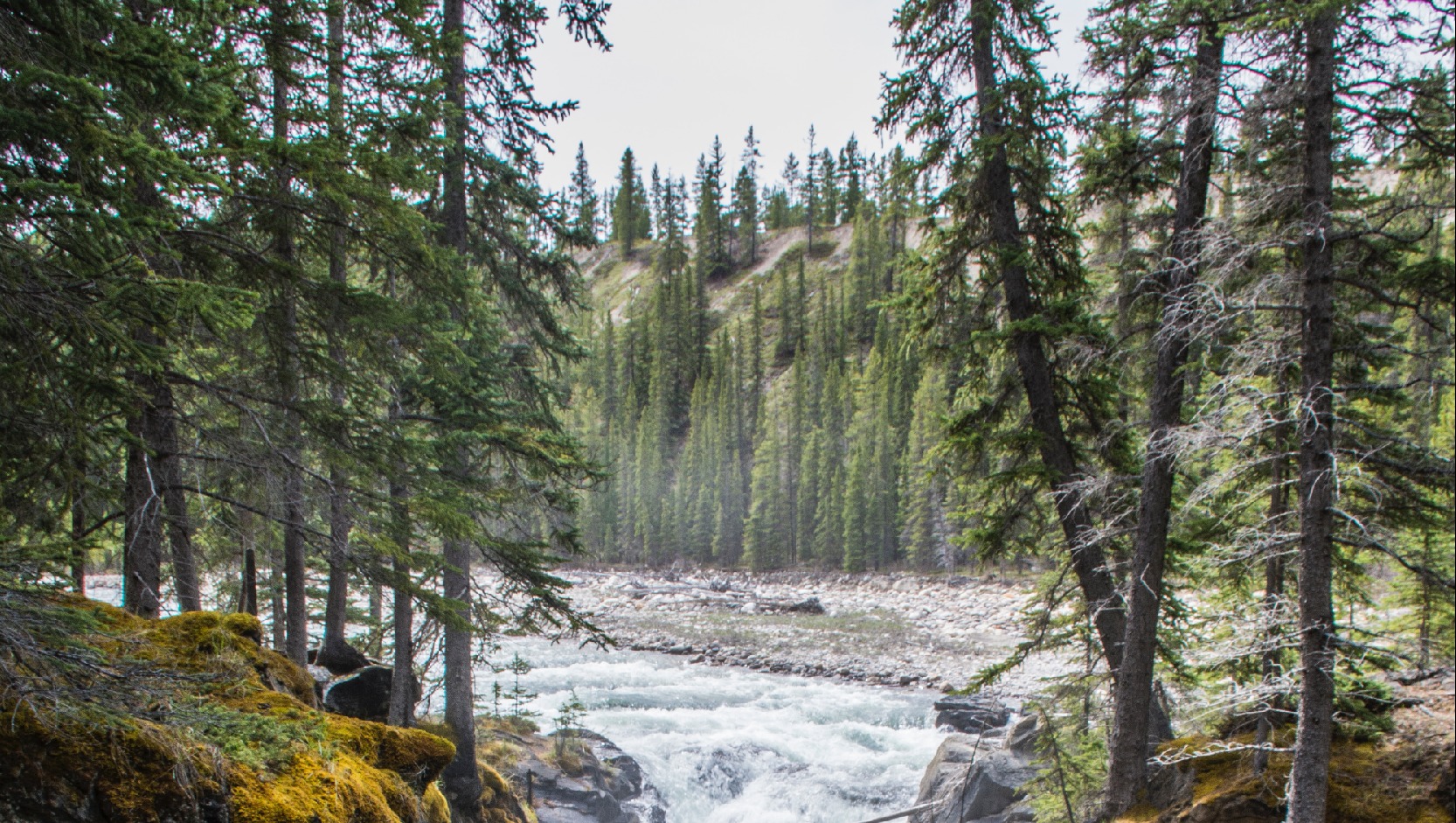 Clearwater River Idaho