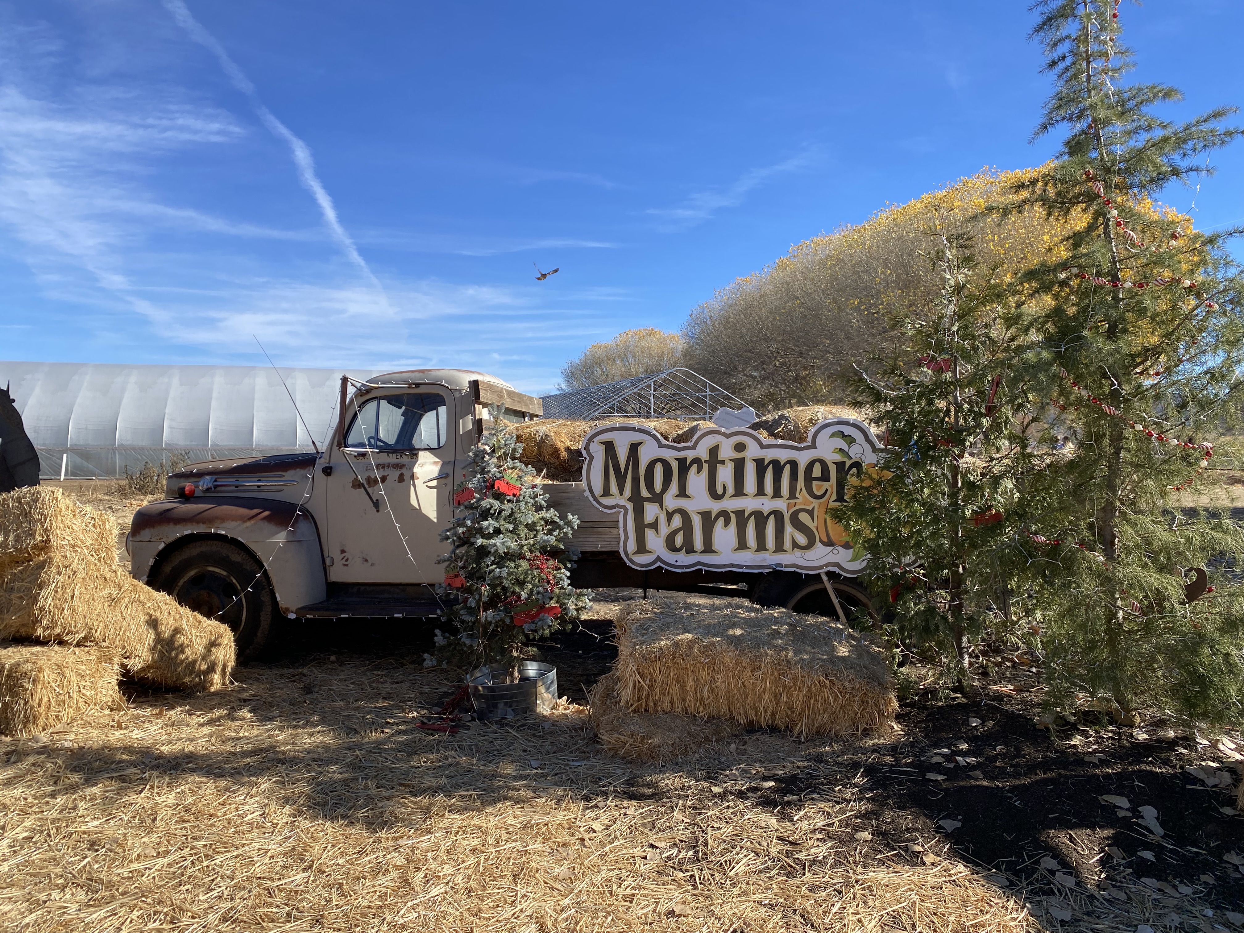 Mortimer Farms in Dewey, AZ