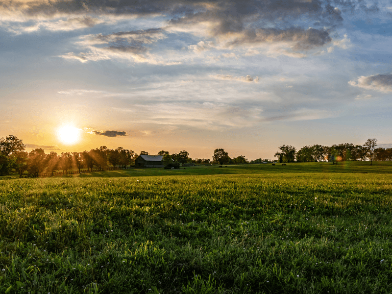 horse property in Piedmont Virginia