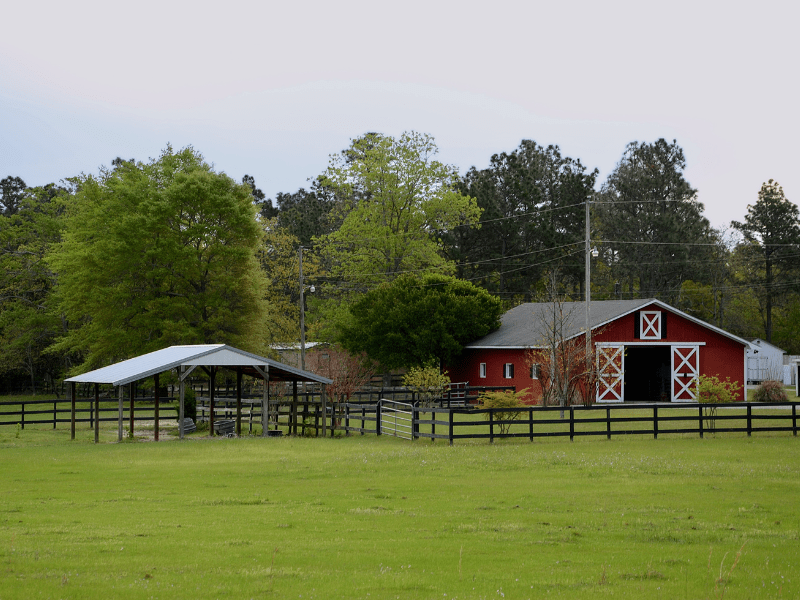 horse property in Piedmont Virginia
