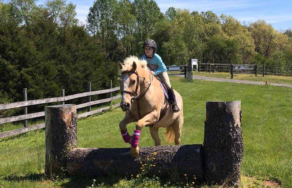 selling a horse farm in Fauquier County