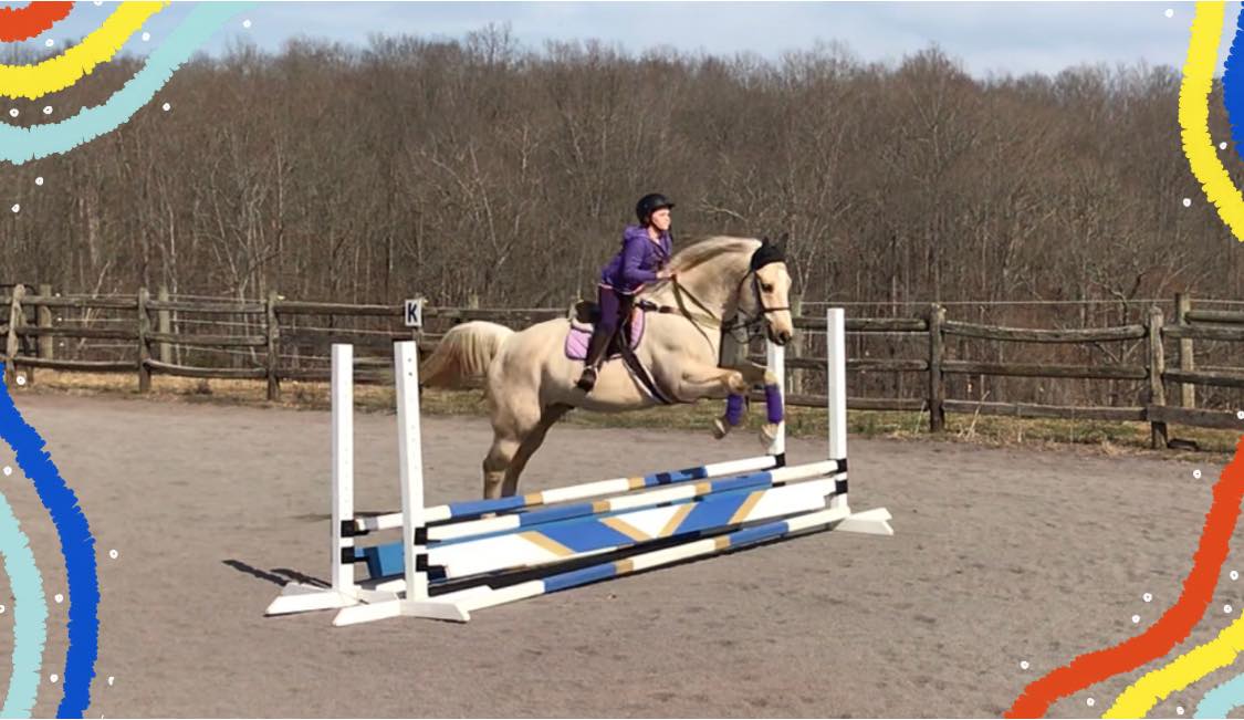 about horses warrenton va