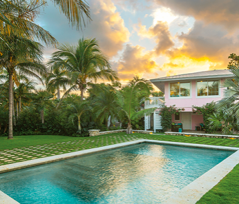 Tropical Paradise