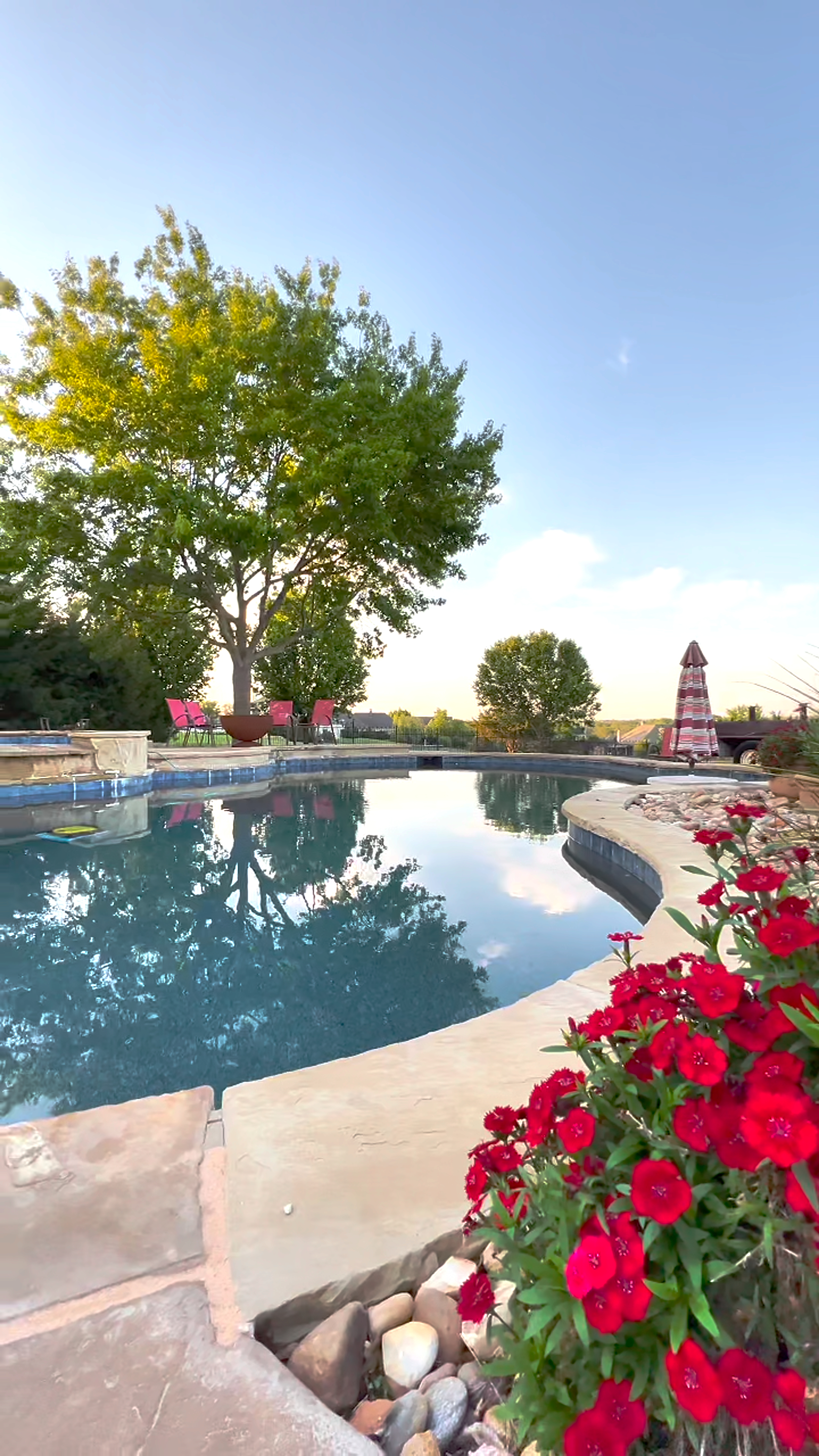 Watch reel for 3 Clements