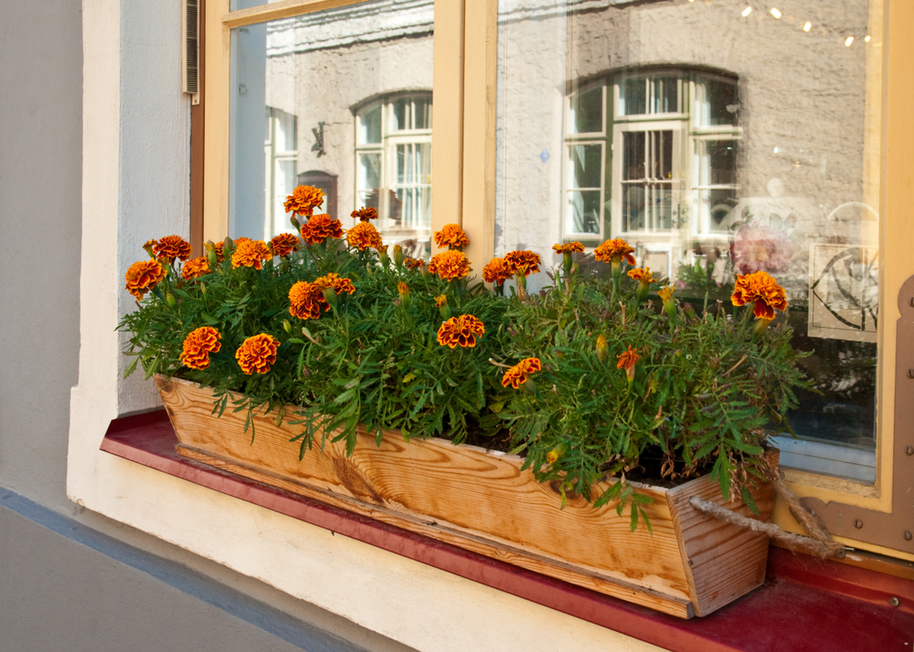 DIY-window-box-planter DIY window box planter