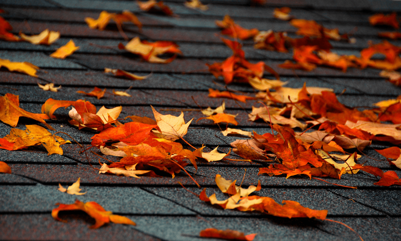 Leaves on top of roof in the fall.