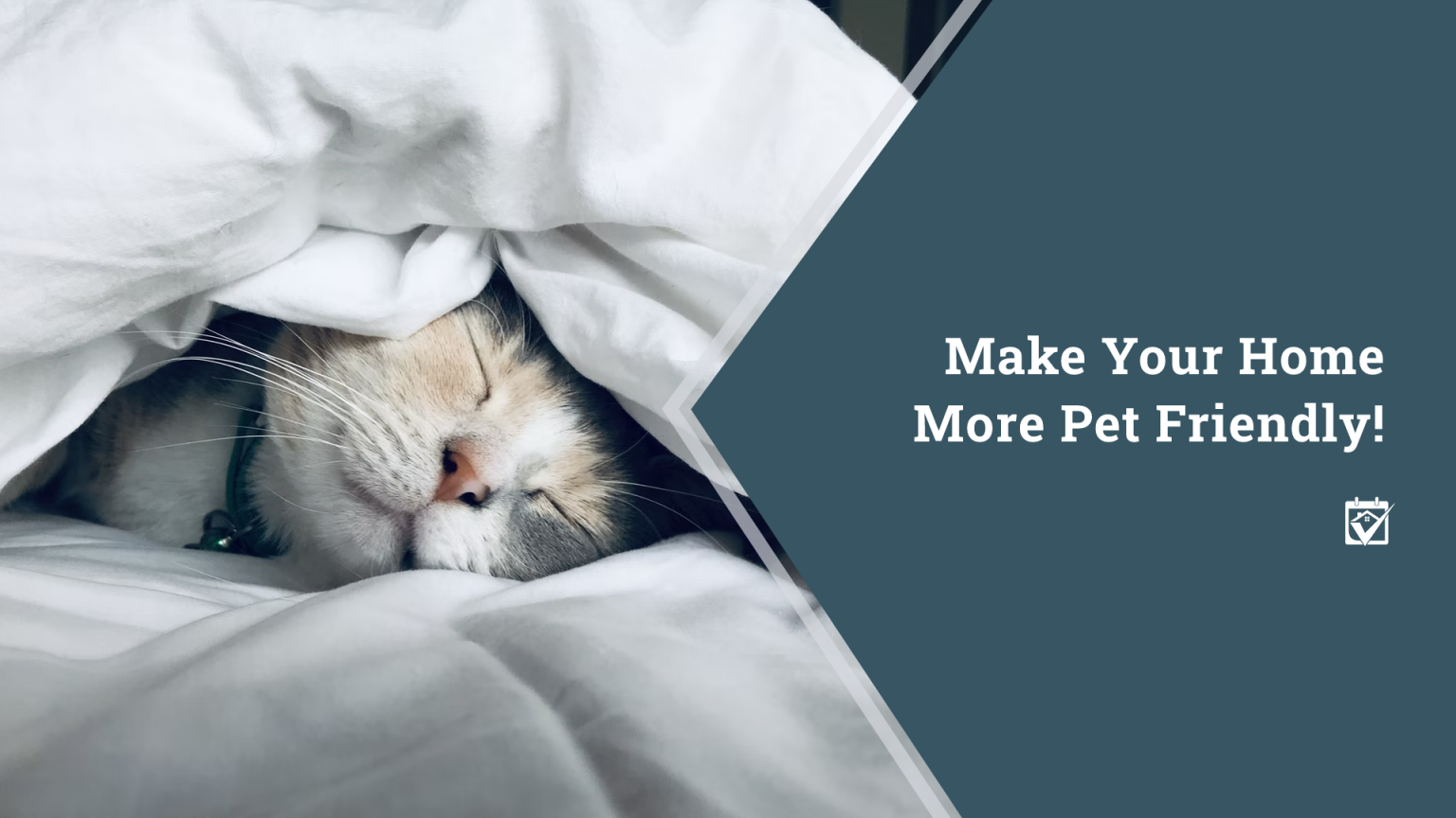 Make Your Home More Pet Friendly