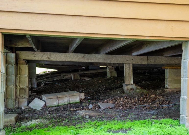 Check the crawlspace of your home