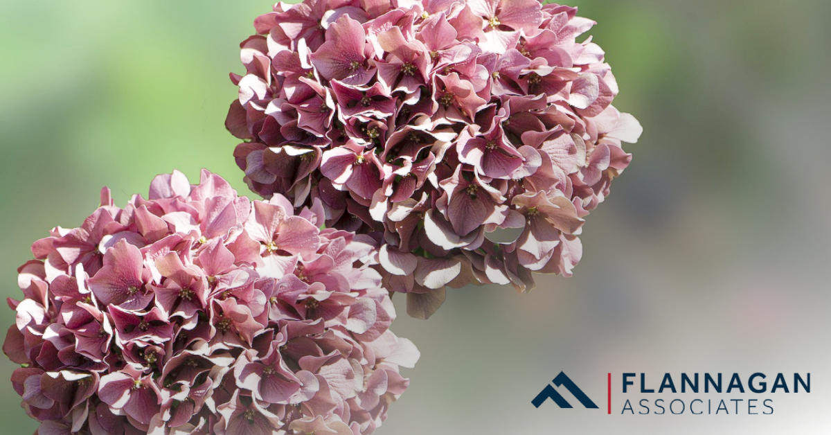 How to Make Your Front Yard Low-Maintenance