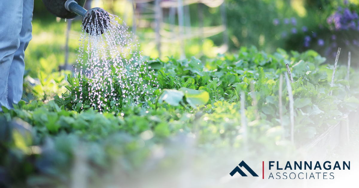 Can Building A Late-Summer Garden Keep Getting Fresh Veggies Coming?