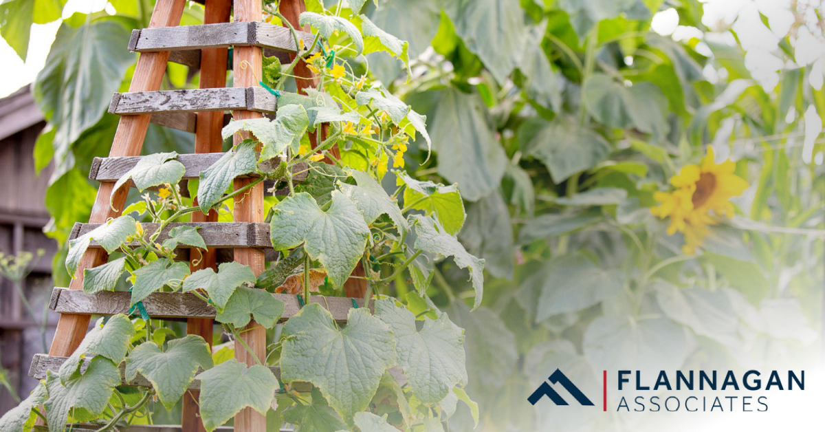 DIY Guide: Miniature Trellis Ideas