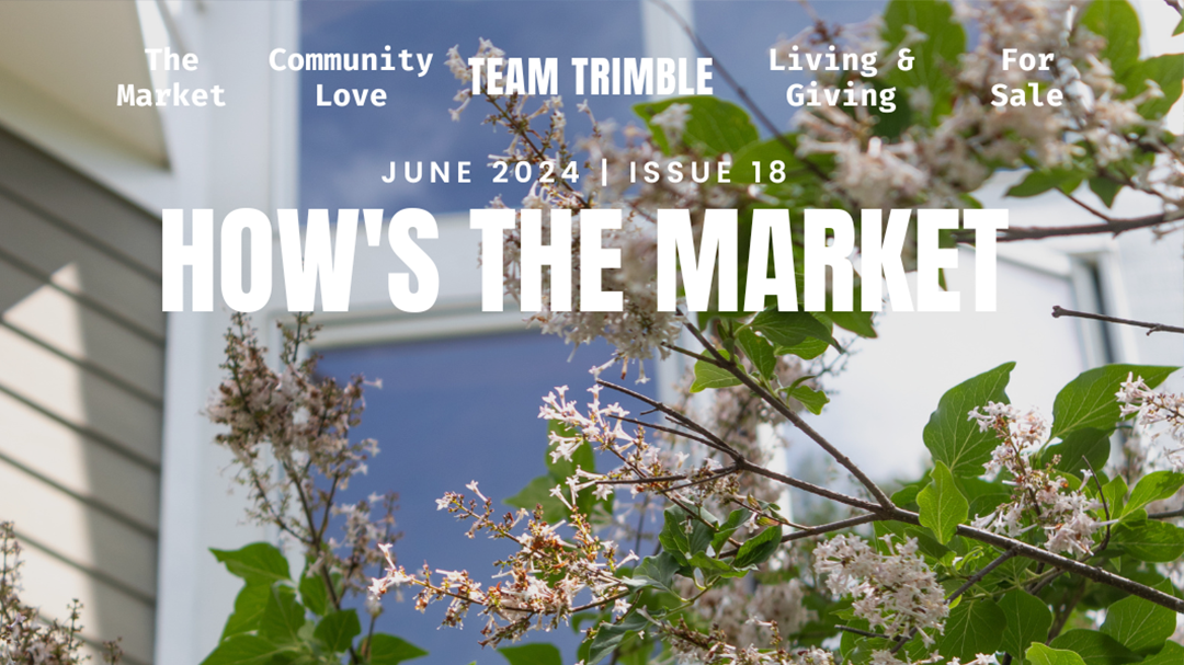 Our June Newsletter is Here! 