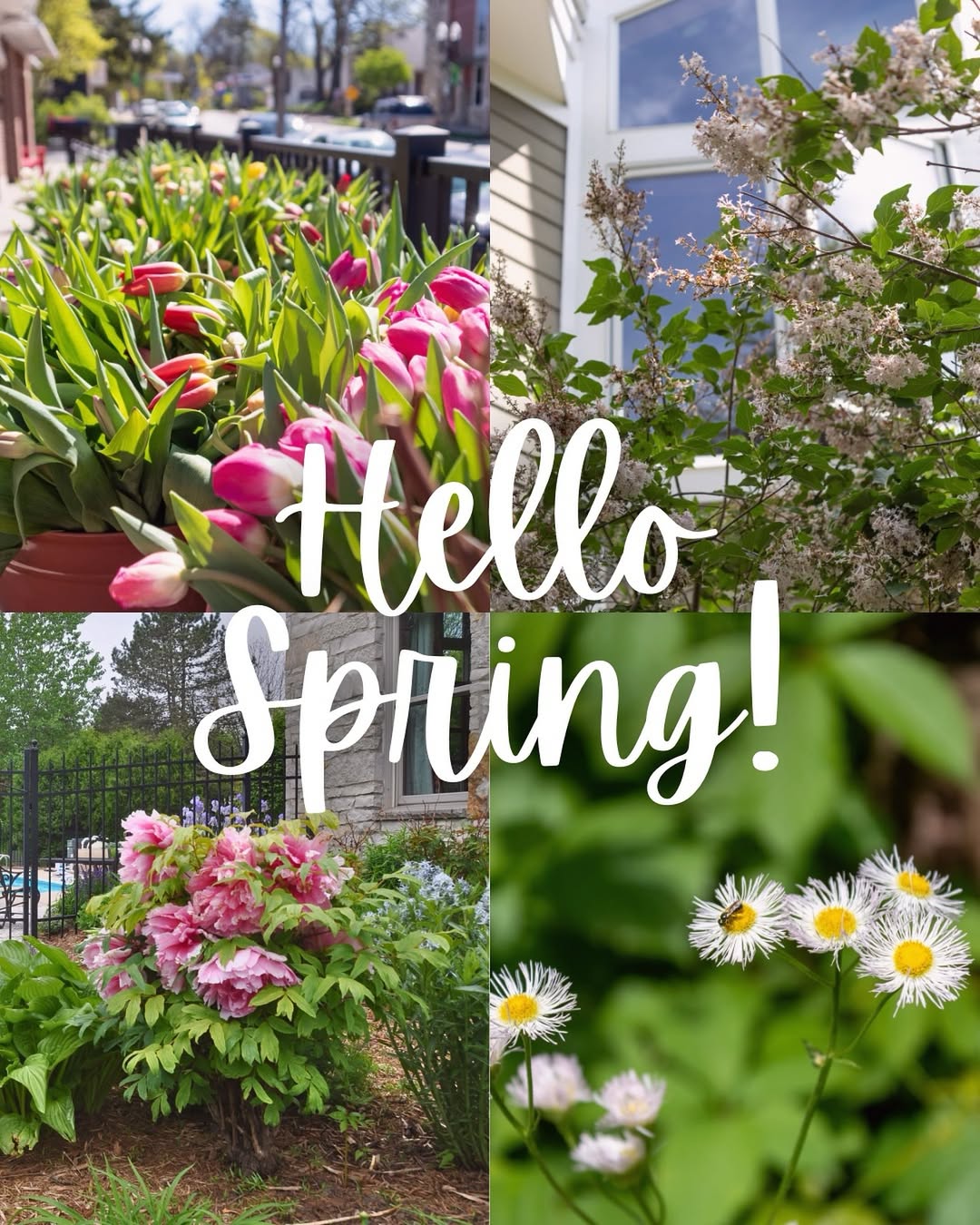 Happy First Day of Spring! Embrace the Season of Fresh Beginnings