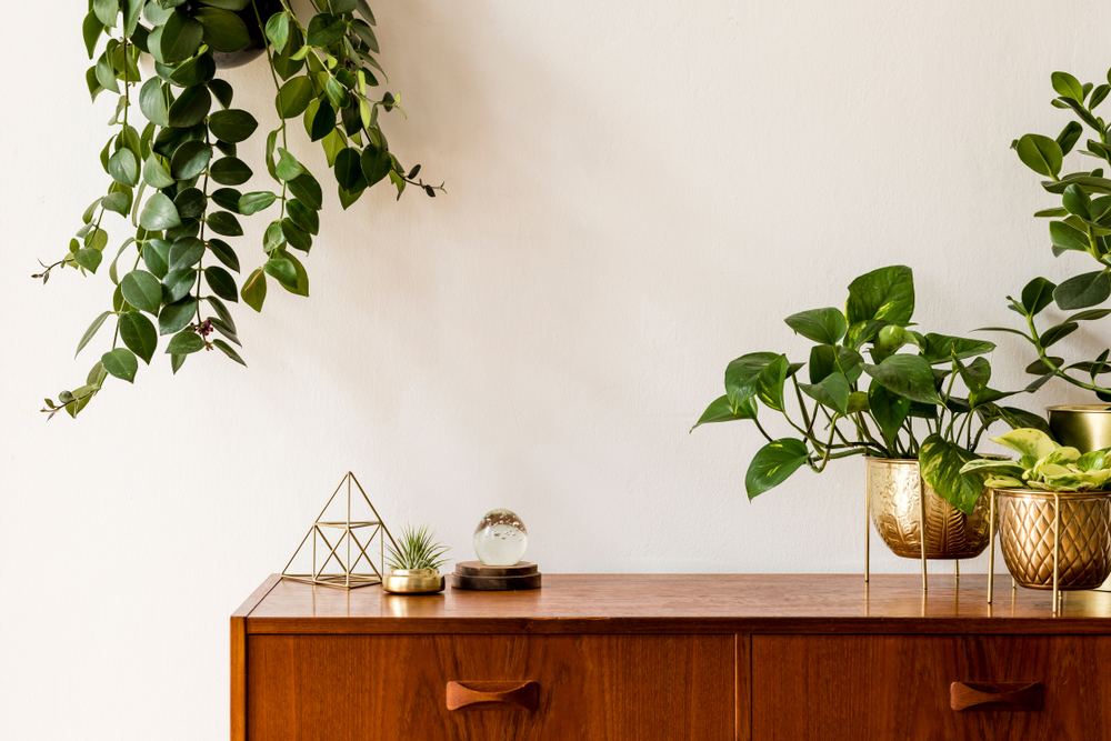 plants added in the living room table