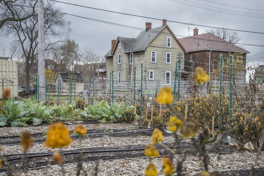 community garden midwest US