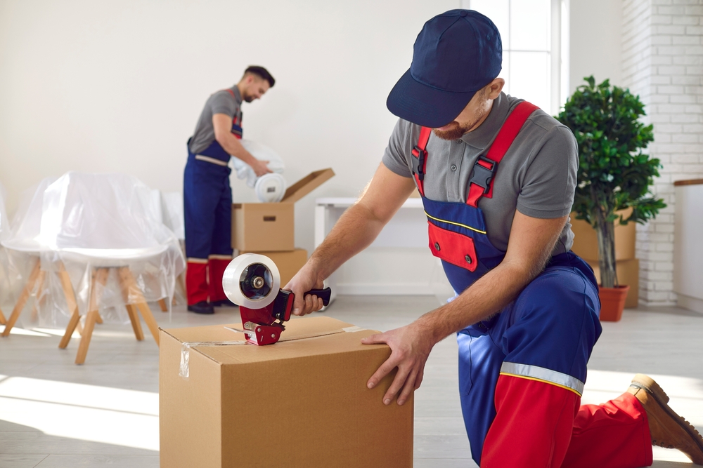 moving team packing boxes