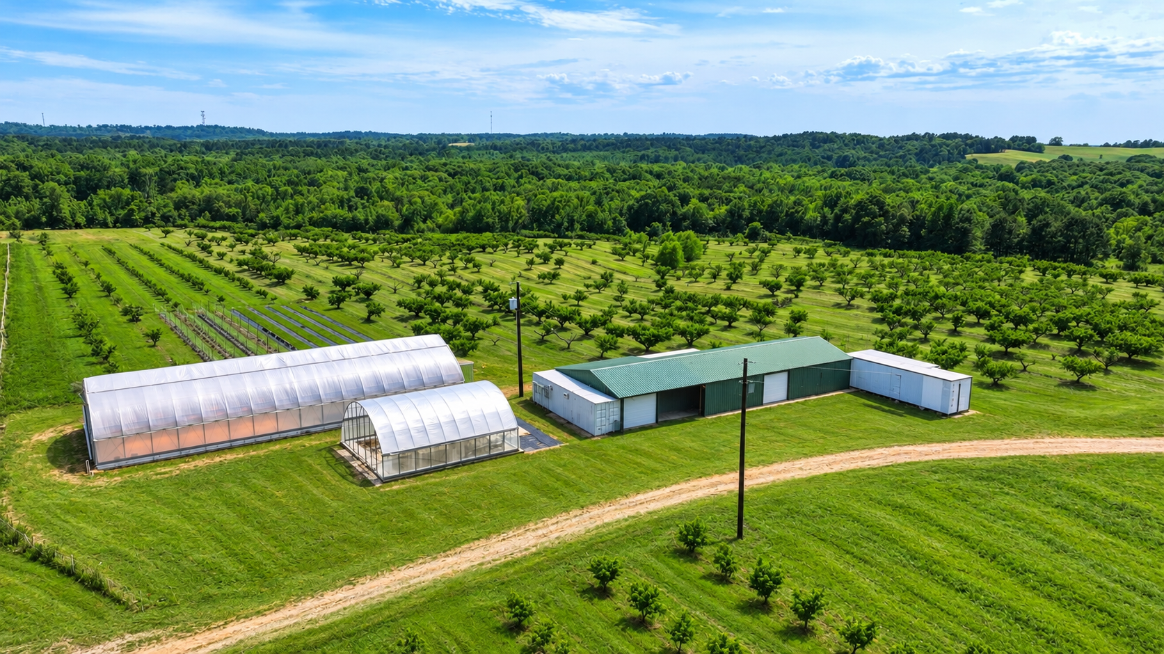 Aerial view of the greenhouses and peach orchard at 16420 County Road 356 near Winona, Texas
